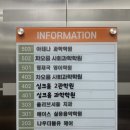 철산 나우더블유 헤어에서 톤다운염색, 클리닉까지 대만족 후기!