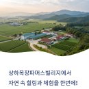 한실농장 | 상하목장파머스빌리지 비교 리뷰