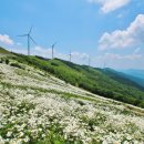 육백마지기 이미지