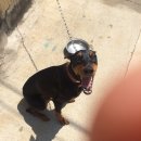 칠성셀프세차 이미지