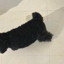 위랩아트스페이스