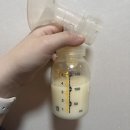 미즈약국 | 미즈여성병원부설산후조리원 스위트 14일 후기