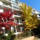 대야1로 이미지