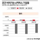 뜬금없이 '해외 도피설' 논란에 휩싸인 마켓컬리 '김슬아' 대표 이미지