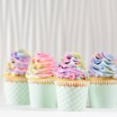 SY공인외국어번역행정사 이미지