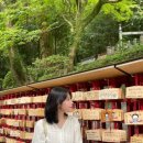 뽀바뽀바뽑기통 이미지