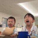 수상한발효실수국 | 260624 말레이시아 3일차