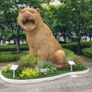 호랑이광장
