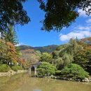 불국어린이집 | [아기랑-경주여행2] 가을단풍이 아름다운 불국사/ 불국사 근처식당: 울산식당