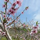 한별농장 이미지