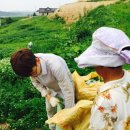 광산구-013 이미지