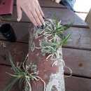 우송농장 이미지