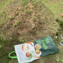 하송안길 101 이미지