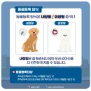 방주동물병원 이미지