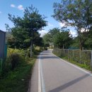 가평역 자전거길 이미지