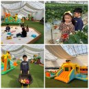 학교농장 | [경기도 평택] 삼촌농장 / 아기랑 농장 체험 프로그램, 딸기 따기 체험, 농장 놀이터, 프라이빗 체험농장