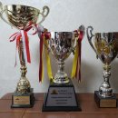 SCUP | 2023 World Scholar's Cup 초등부 세계 2위 수상 후기 (WSC, 월드스콜라스컵)
