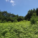 남해농장 이미지