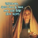 2025-08-10연중 제19주일＜너희도 준비하고 있어라.＞ 이미지
