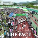 보성체육공원운동장 이미지