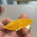 영선농원