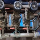 부흥사우나 이미지