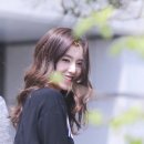 철이네 Daum카페