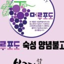 협동조합담음 이미지