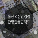 한양안경 콘택트 이미지