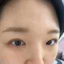 일레르 뷰티