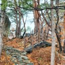 올래오늘또 이미지