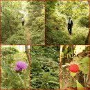 추도보건진료소 이미지