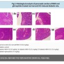 나라바이오 주식회사 이미지