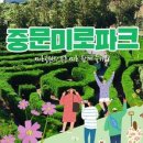 미로파크 이미지