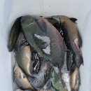 해원산업 이미지