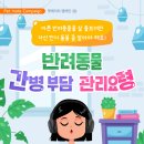 강서 더힐 동물병원 | Pet mate Campaign 펫메이트 캠페인【강서더힐동물병원】