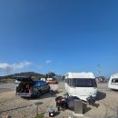 몽산포 송림 | 당진 태안 카라반진입 가능 캠핑장 BEST6｜아이와 갯벌체험 + 추천자리 + 매너타임 완벽정리