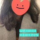 월드 카 클리닉 | [둔산동 미용실] 나만의 스타일찾기 하루헤어 둔산점