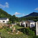 젤루느린달팽이 이미지