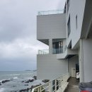 씨앤트리(Sea&Tree) | [숙소] 힐링이 필요하다면 바다뷰가 보이는 씨앤트리(sea&amp;tree) 펜션으로!!