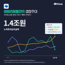 소프트 비바 이미지