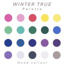 나만의 퍼스널컬러 진단 | 나에게 맞는 퍼스널 컬러 진단 후기 무드컬렉트 신제주점