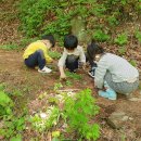 리라숲어린이집 이미지