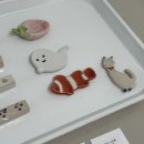 하얀이언니네 | [7월 조각] 대전 언니네 놀러간 날. 대흥동 소품샵과 빵순이의 폭주