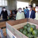 신엄농산물 직거래장터 이미지