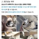 요소수첨가제는 필수입니다 이미지