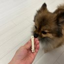 허니펫 | [제품리뷰]&#34;양치도 간식처럼! 허니버터향 강아지 덴탈껌 펫퍼스 스마일리츄 후기🍯&#34; 후기,가격,정보