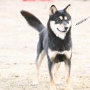 금강하우스 이미지