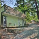 소나무숲아래 이미지