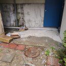 노블스타밸리1 이미지